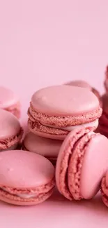 Pink macarons on a pastel pink background.