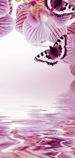 Pink orchids with butterflies reflecting on water.