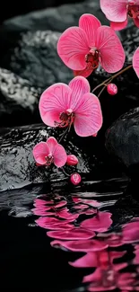 Pink orchids reflected in water on black stones.