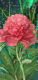 Wallpaper featuring a vivid pink peony with a starry night backdrop and green leaves.