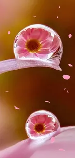 Close-up of pink petals with dew drops reflecting a floral image.