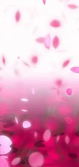 Mobile wallpaper with floating pink petals.