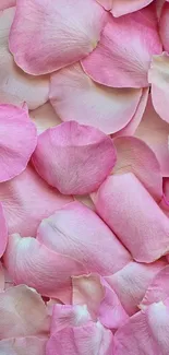 Soft pink flower petals wallpaper for phones.