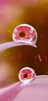 Mobile wallpaper of pink petals with beautiful water droplet reflections.