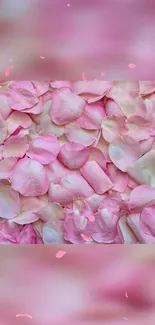 Pink petals background wallpaper, soft and elegant.