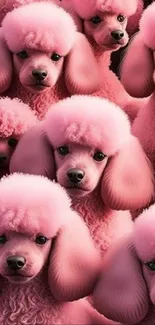 Charming pink poodles pattern wallpaper for mobile.