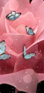 Blue butterflies resting on a pink rose with gentle bokeh effect.