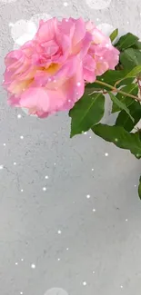 Closeup of a pink rose flower with green leaves and light sparkles.