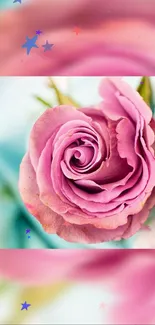 Delicate pink rose flower against a soft background with colorful stars.