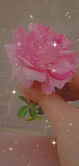 Hand holding a pink rose against a sparkling, starry background.