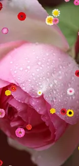 Beautiful pink rose with droplets and tiny colorful flowers.