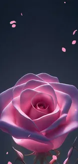 Pink rose on dark background, elegant mobile wallpaper.