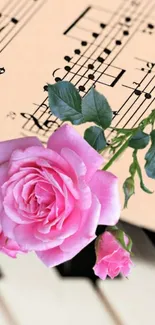 Pink rose with music notes and piano keys wallpaper.