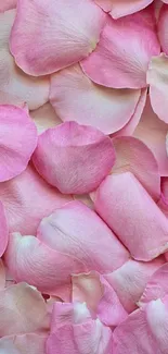 Close-up of delicate pink rose petals, creating a soft, romantic background.