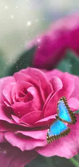 Blue butterfly on a vibrant pink rose with sparkles.