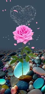 Pink rose with heart sky over colorful stones.