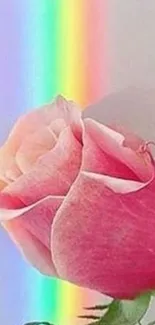 Pink rose with rainbow background on mobile wallpaper.