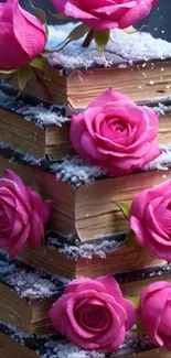 Stack of books with pink roses and snow.