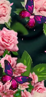 Pink roses and purple butterflies on dark wallpaper.