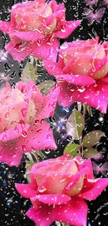 Pink roses and butterflies on black starry background.