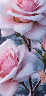 Pink roses with snowflakes and butterflies wallpaper.