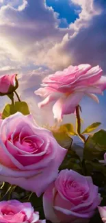 Pink roses bloom under a vibrant cloudy sky.