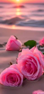 Pink roses on a sandy beach at sunset.