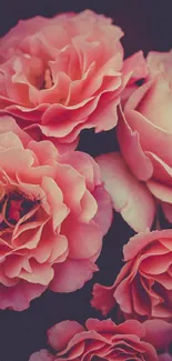 Close-up of elegant pink roses in a floral mobile wallpaper.