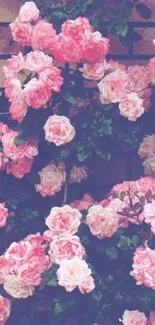 Mobile wallpaper with vibrant pink roses climbing a brick wall.