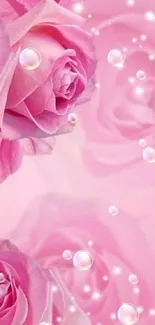 Pink roses and bubbles mobile wallpaper with soft hues.