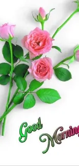 Pink roses with 'Good Morning' text on a white background.