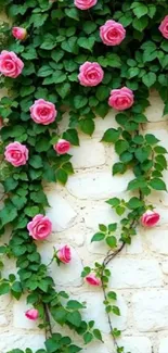 Pink roses on a white brick wall wallpaper