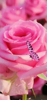 Pink roses with butterfly mobile wallpaper.