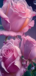 Three pink roses with dew drops on petals, creating a romantic scene.