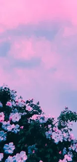 Mobile wallpaper featuring a pink sky and floral foreground.