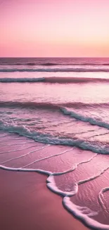 Pink sunset beach wallpaper with gentle waves.