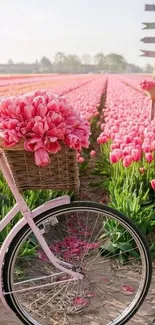 Pink bicycle beside a tulip field, capturing spring's vibrant beauty.