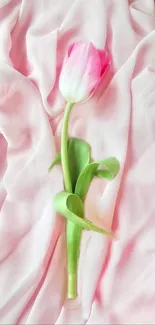 Single pink tulip on soft pink fabric background.