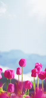 Pink tulips under a bright mountain sky.