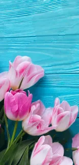 Pink tulips on bright blue wooden background mobile wallpaper.