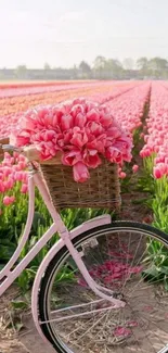 Mobile wallpaper of pink tulips with bicycle in a spring field.