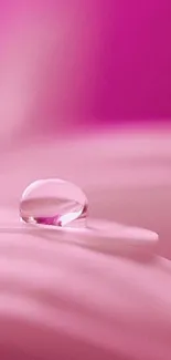 Pink water droplet on soft pink petal, perfect for mobile backgrounds.