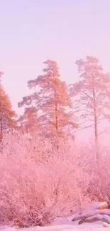 Pink winter landscape with snowy trees in a serene setting.