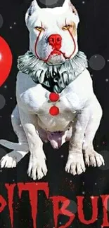 Pitbull dressed as a clown with red balloon on black background.