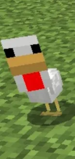 Pixelated Minecraft-style chicken on green background.