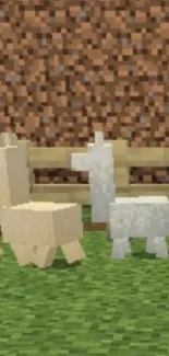 Pixel art llamas in a block-style world with a green background.