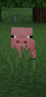 Pixelated pig standing on green grass in block-style landscape.