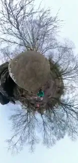 Surreal mini planet view wallpaper with bare trees and rocky surface.