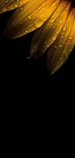 Plant Amber Petal Live Wallpaper