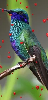 Plant Bird Art Live Wallpaper